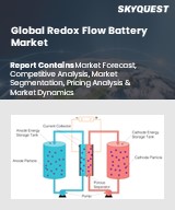 Global Redox Flow Battery Market 