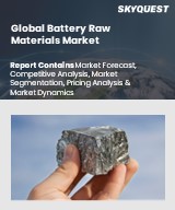 Global Battery Raw Materials Market