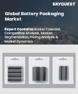 Global Micro-mobility Charging Infrastructure Market