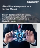 Global Key Management as a Service Market