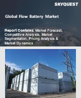 Global Flow Battery Market