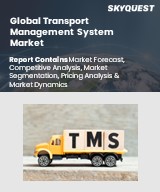 Global Automatic Identification System Market