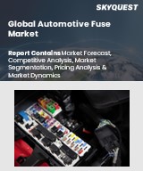 Global Automotive Air Purifier Market