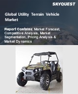 Global Motorized Quadricycle Market