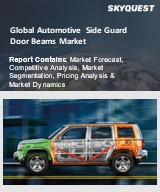 Global Automotive Active Purge Pump Market