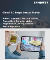 Global 3D Image Sensor Market