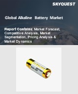 Global Flashlight Market