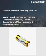 Alkaline Battery Market