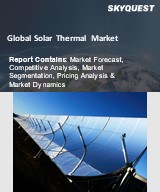 Global Solar Thermal Market