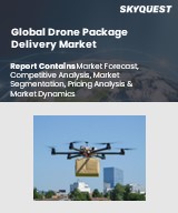 Global Drone Package Delivery Market