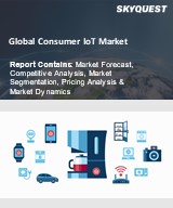 Global Consumer IoT Market