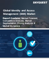 Global Identity and Access Management (IAM) Market