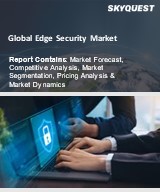 Global Edge Security Market