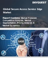 Global Secure Access Service Edge Market