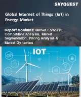 Global Internet of Things (IoT) in Energy Market