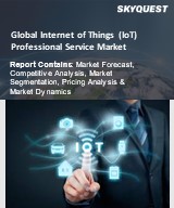 Global Internet of Things (IoT) Professional Service Market