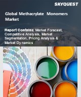 Global Methacrylate Monomers Market