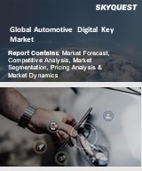 Global Automotive Digital Key Market