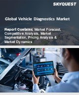 Global Vehicle Diagnostics Market