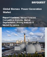 Global Biomass Power Generation Market