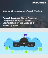 Global Government Cloud Market
