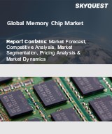 Global Memory Chip Market