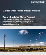 Global Small Wind Power Market