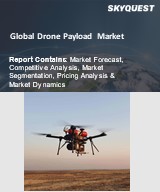 Global Drone Payload Market 