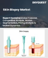 Global Skin Biopsy Market