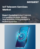 Global IoT Telecom Services Market