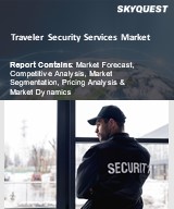 Global Traveler Security Services Market