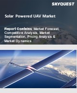 Global Solar Powered UAV Market