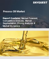 Global Process Oil Market