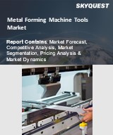 Global Metal Forming Machine Tools Market