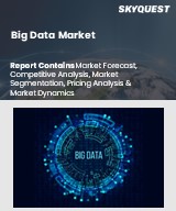 Global Big Data Market