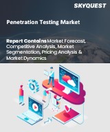 Global Penetration Testing Market