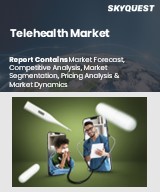 Global Telehealth Market