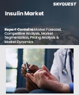 Global Insulin Market