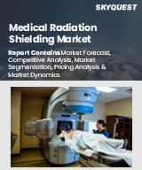 Global Medical Radiation Shielding Market