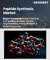 Global Peptide Synthesis Market
