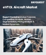 Global eVTOL Aircraft Market