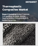 Global Thermoplastic Composites Market