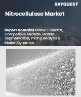 Global Nitrocellulose Market