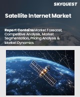 Global Satellite Internet Market