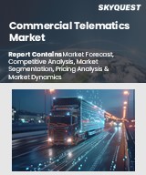 Global Commercial Telematics Market