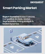 Global Smart Parking Market