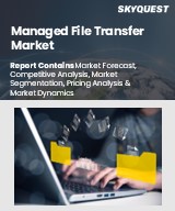 Global Managed File Transfer Market