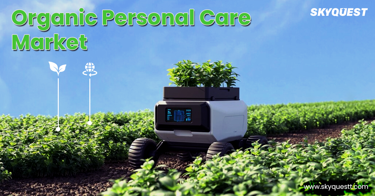 organic personal care market, detailing market research findings and highlighting significant growth opportunities.