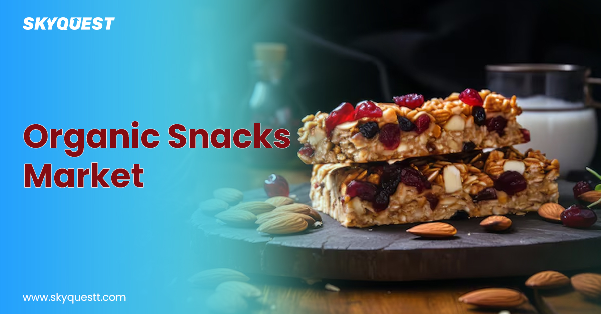 Analysis of the organic snacks market, highlighting key trends and consumer preferences in a targeted market study.