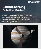 Global Remote Sensing Satellite Market